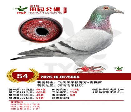 ֣����԰����54��