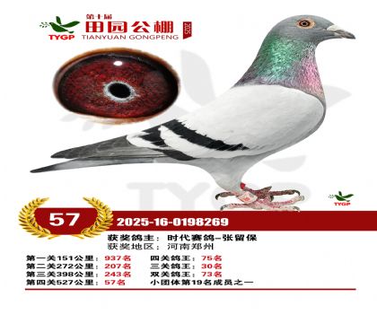 ֣����԰����57��