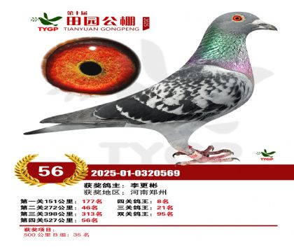 ֣����԰����56��