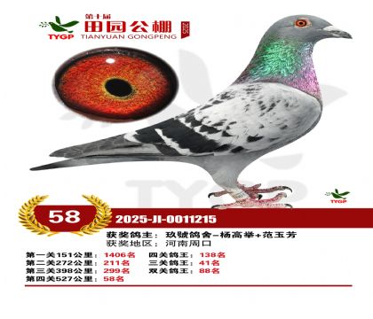 ֣����԰����58��