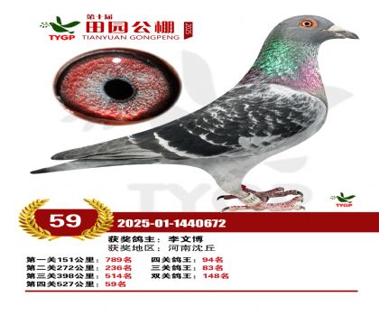 ֣����԰����59��