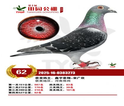 ֣����԰����62��