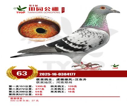 ֣����԰����63��