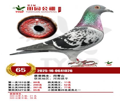 ֣����԰����65��