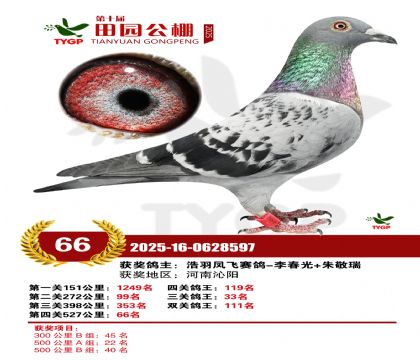 ֣����԰����66��