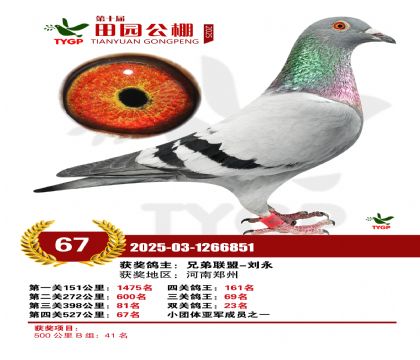 ֣����԰����67��