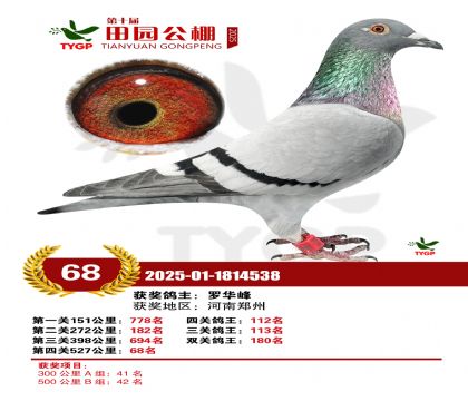 ֣����԰����68��