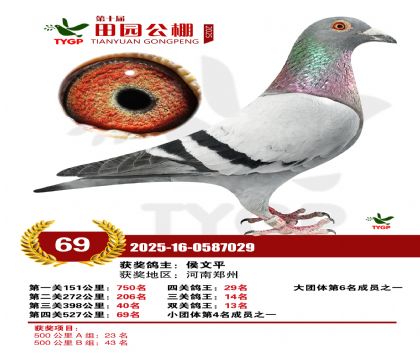 ֣����԰����69��