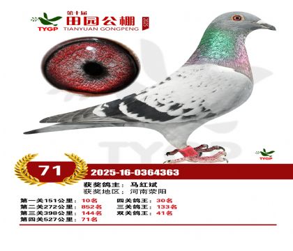 ֣����԰����71��