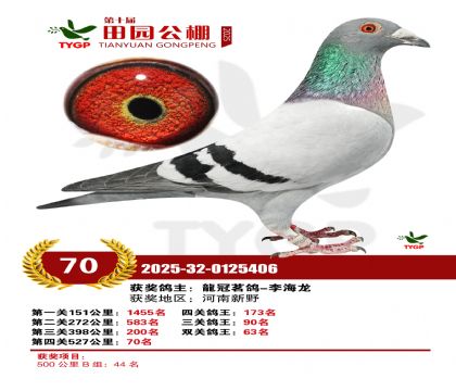 ֣����԰����70��