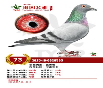 ֣����԰����73��