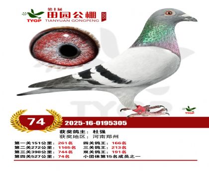 ֣����԰����74��