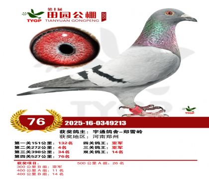 ֣����԰����76��