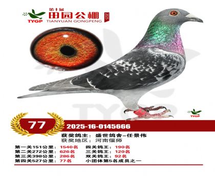 ֣����԰����77��