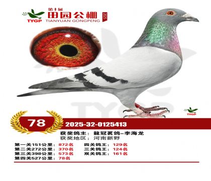 ֣����԰����78��