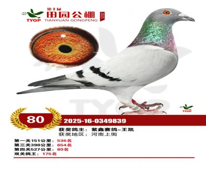 ֣����԰����80��