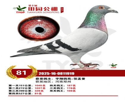 ֣����԰����81��