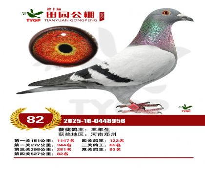 ֣����԰����82��