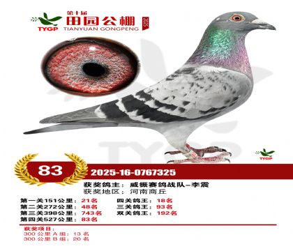 ֣����԰����83��