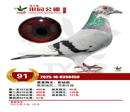 ֣����԰����91��