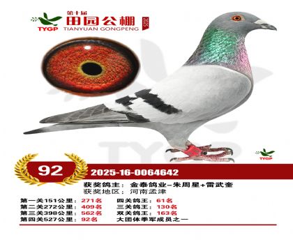 ֣����԰����92��