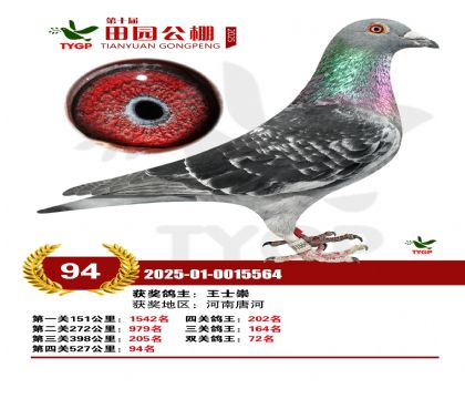 ֣����԰����94��