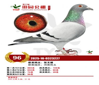 ֣����԰����96��