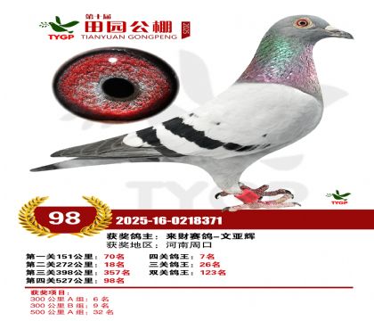 ֣����԰����98��