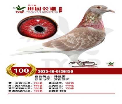 ֣����԰����100��