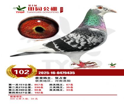 ֣����԰����102��