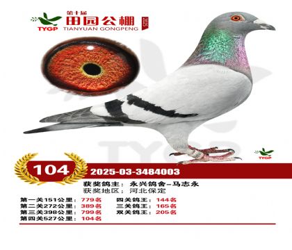 ֣����԰����104��