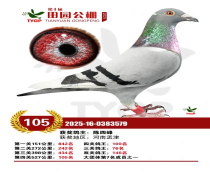 ֣����԰����105��