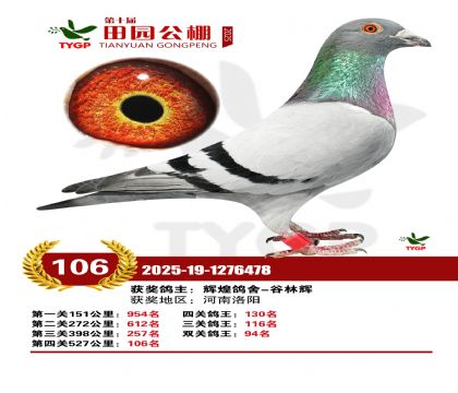 ֣����԰����106��