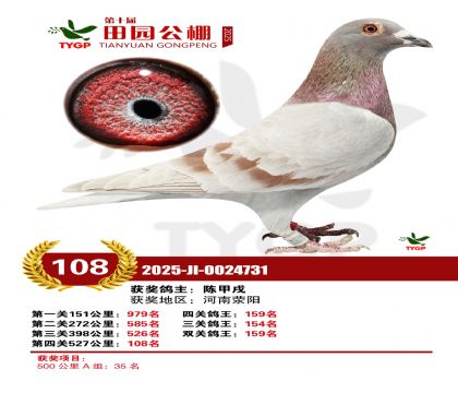 ֣����԰����108��