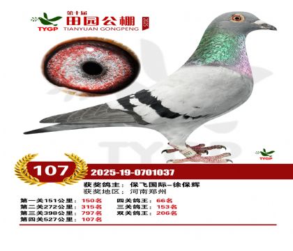 ֣����԰����107��