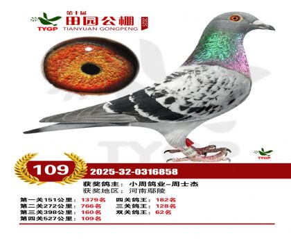 ֣����԰����109��