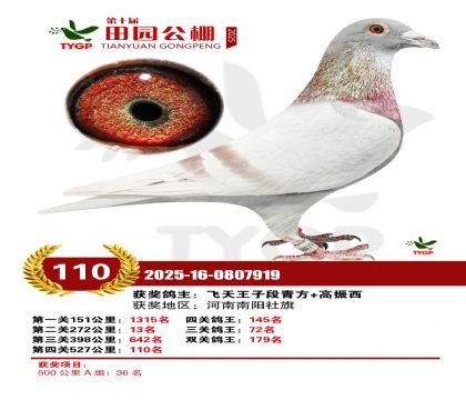 ֣����԰����110��