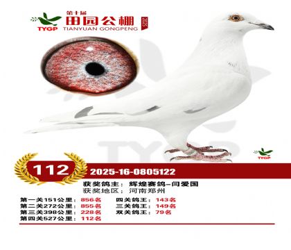 ֣����԰����112��