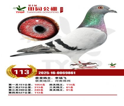 ֣����԰����113��