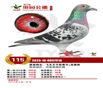 ֣����԰����115��