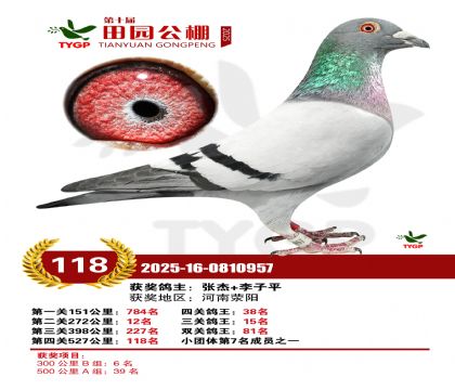 ֣����԰����118��