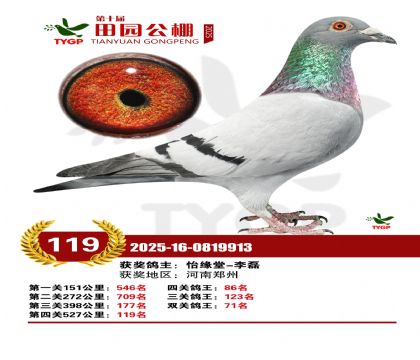 ֣����԰����119��