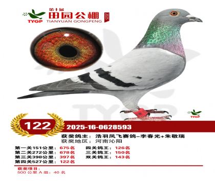 ֣����԰����122��