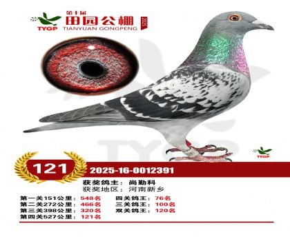 ֣����԰����121��