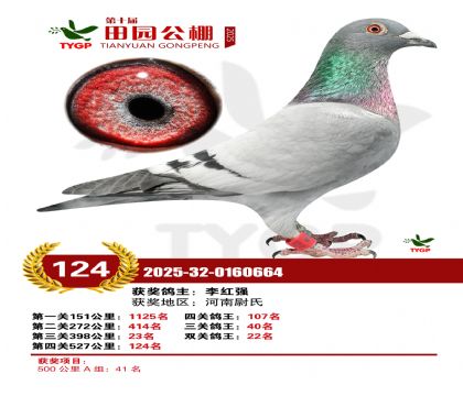 ֣����԰����124��