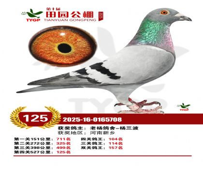 ֣����԰����125��