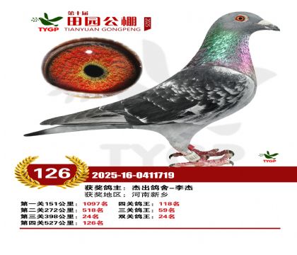 ֣����԰����126��