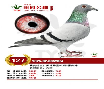 ֣����԰����127��