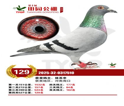 ֣����԰����129��