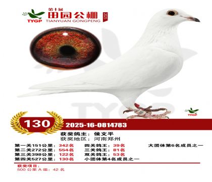 ֣����԰����130��